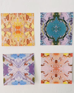 Annalisa D’Ortenzio X Salt Stitches print set No. 1